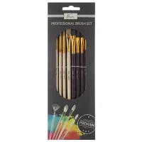 Nassau professional Penselen set 10 dlg. 